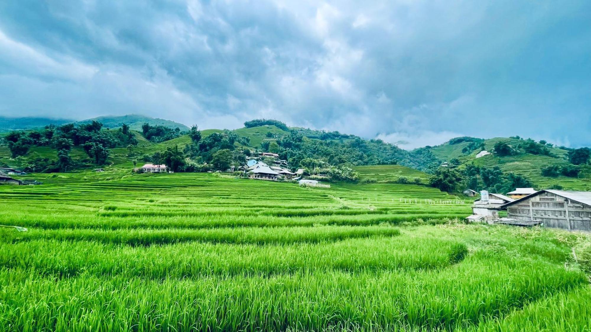 Eco Rice Fields House Hostel Sapa Exterior photo